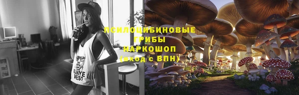 2c-b Шали