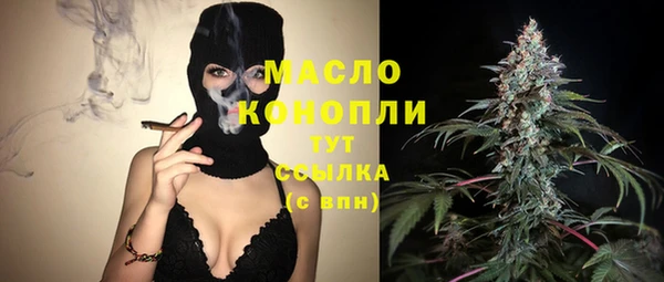 МДПВ Елабуга