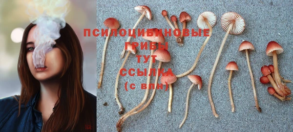 герыч Шарыпово