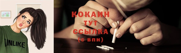 тгк Щучье