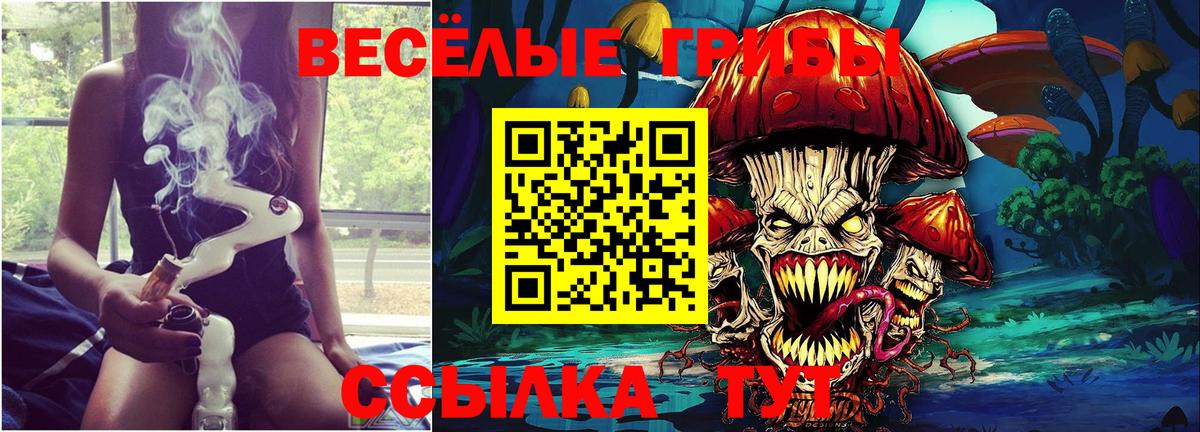 Галлюциногенные грибы Psilocybe Гуково