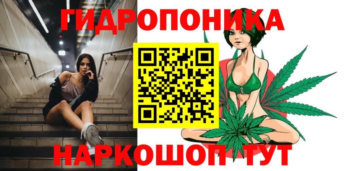 Бошки марихуана сатива  Каннабис семена  Гуково  Каннабис семена 