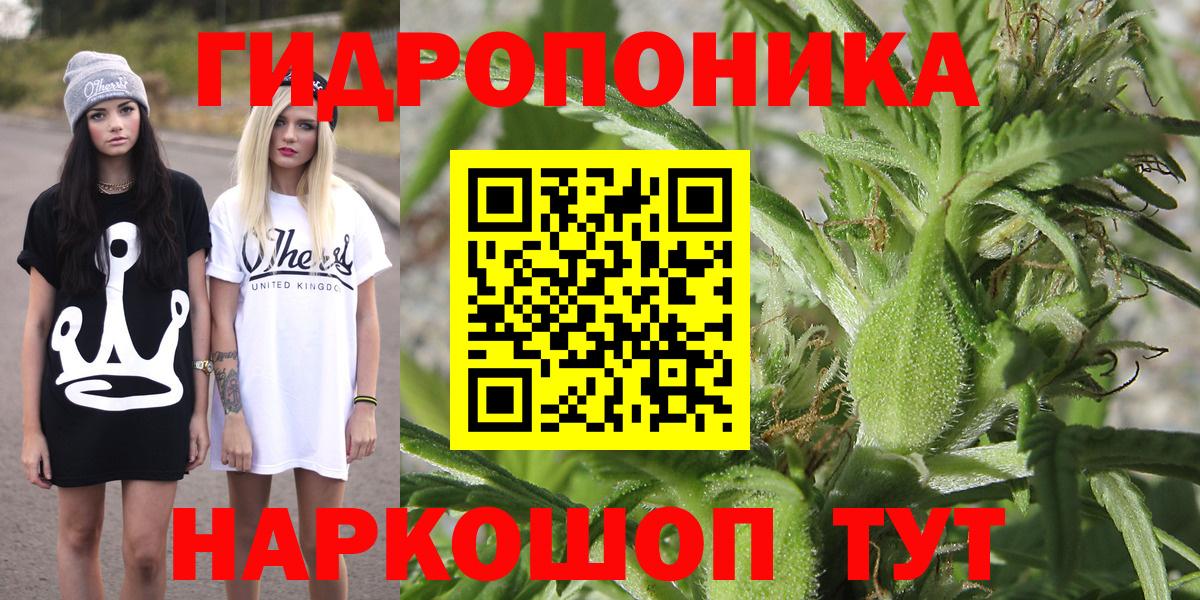 Бошки Шишки семена  Вход с VPN  Гуково  Бошки Шишки ГИДРОПОН  Канабис OG Kush 